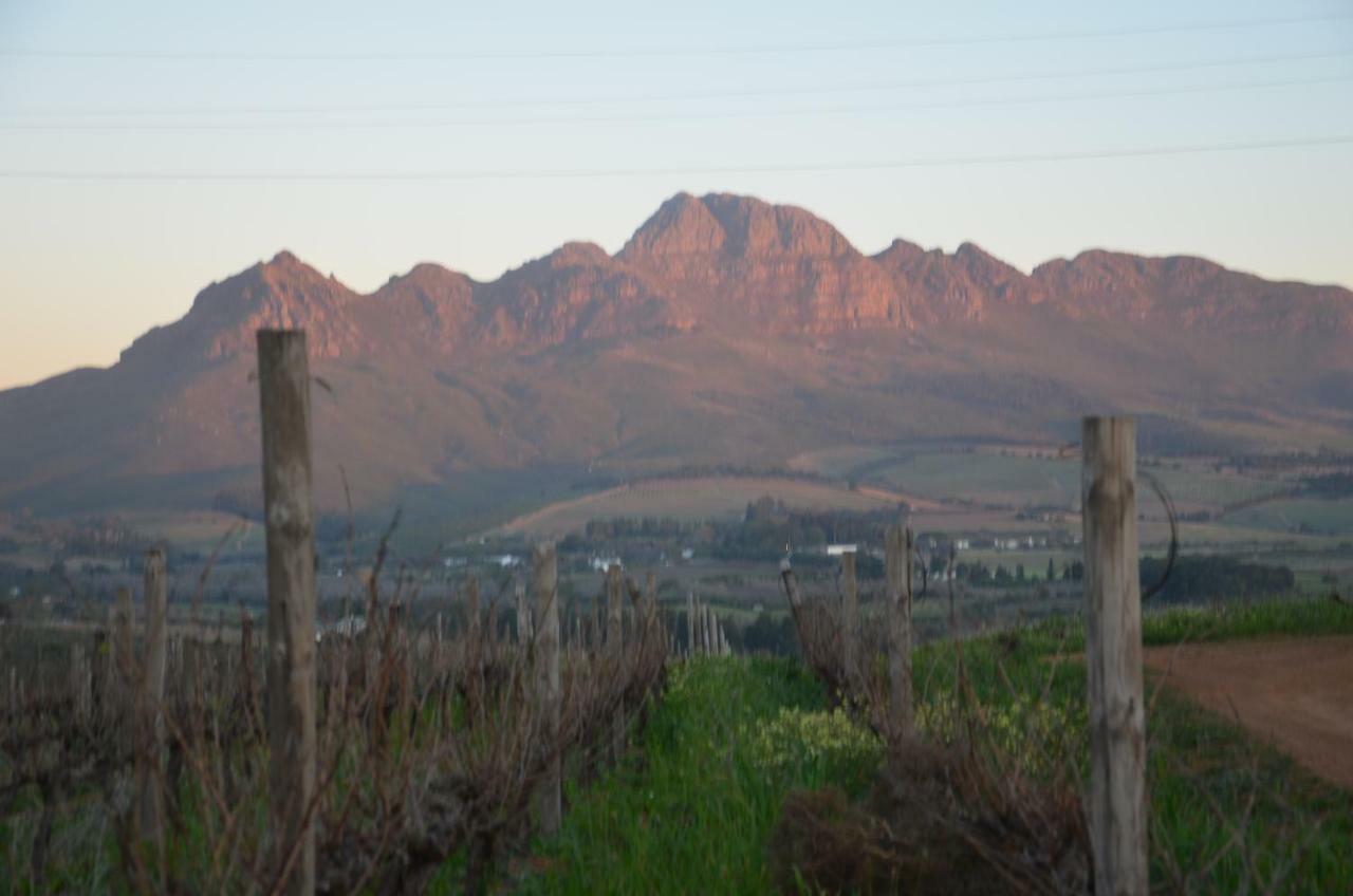 Vila Art House Stellenbosch Exteriér fotografie